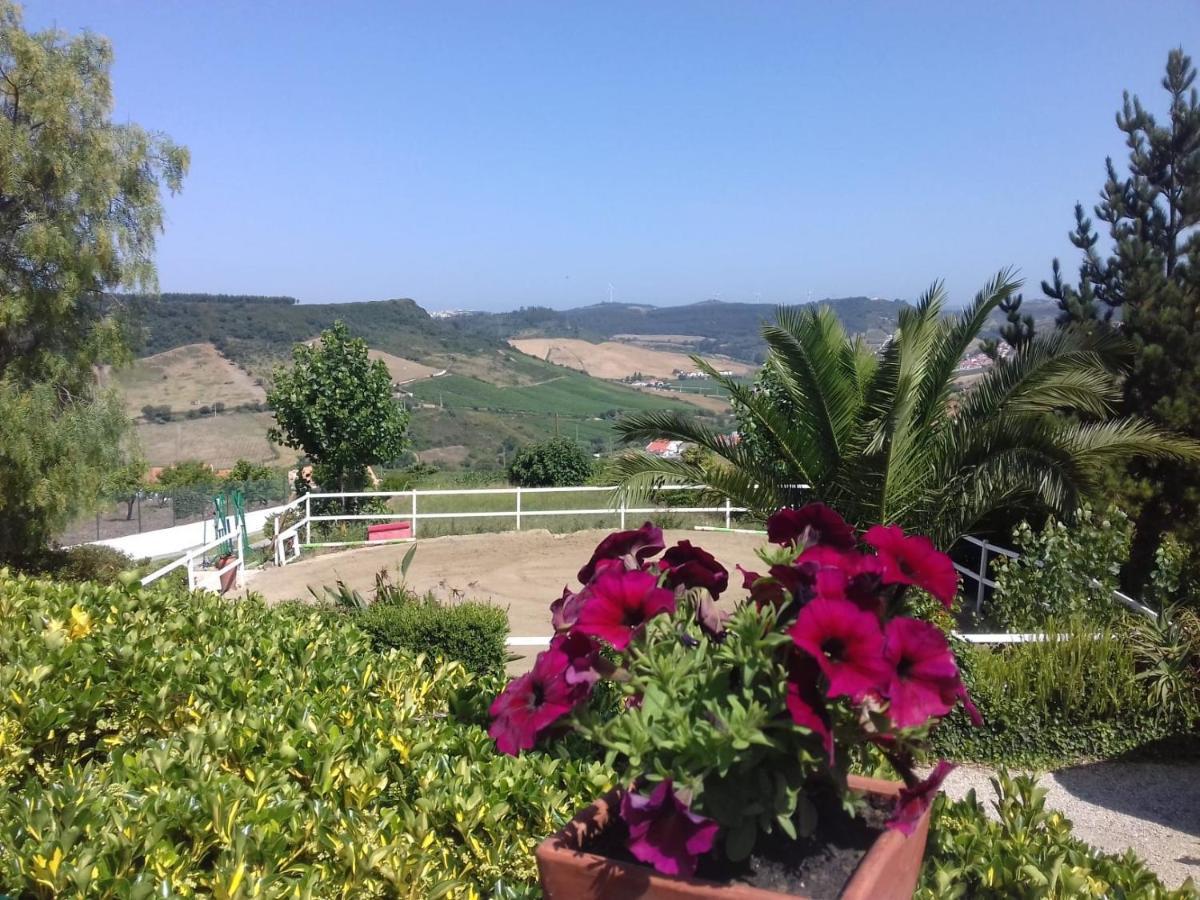 Casinha De Campo- Quintinha Dos Cavalos- Arruda Dos Vinhos Eksteriør bilde
