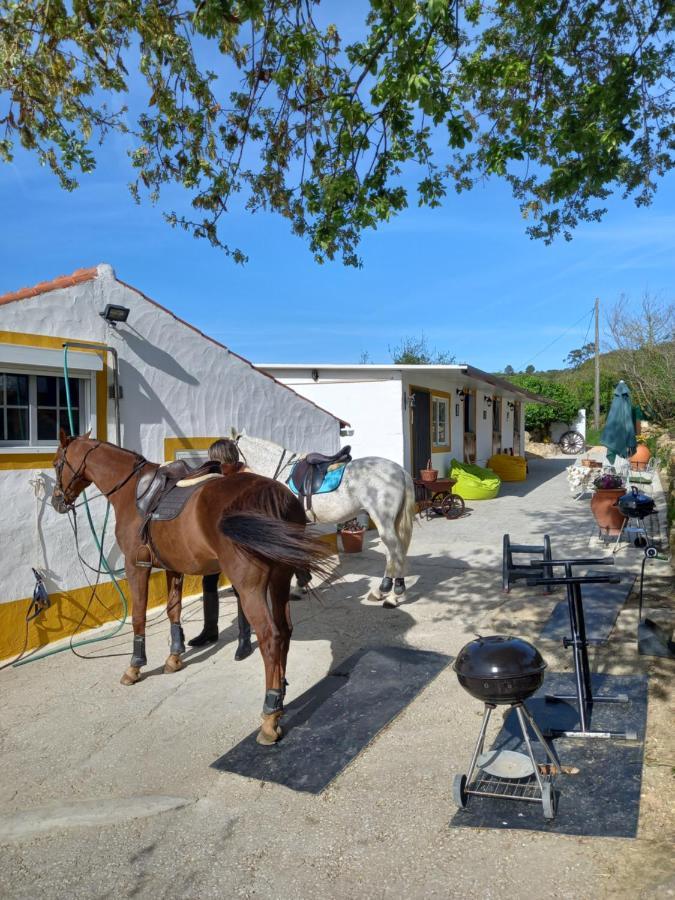 Casinha De Campo- Quintinha Dos Cavalos- Arruda Dos Vinhos Eksteriør bilde
