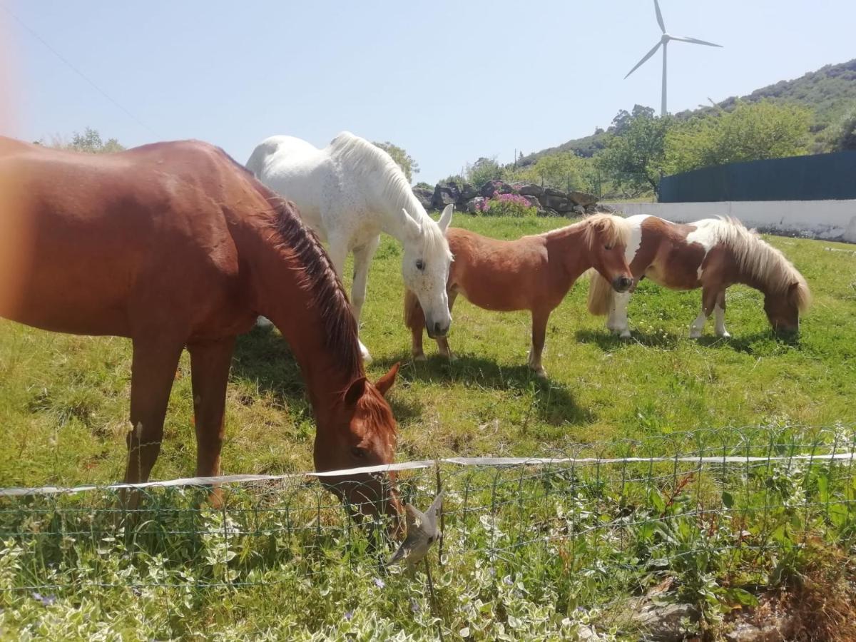 Casinha De Campo- Quintinha Dos Cavalos- Arruda Dos Vinhos Eksteriør bilde