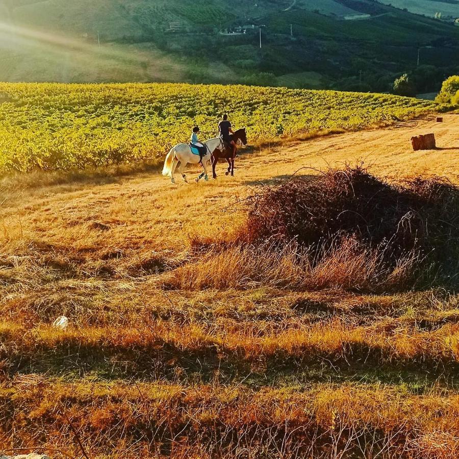 Casinha De Campo- Quintinha Dos Cavalos- Arruda Dos Vinhos Eksteriør bilde